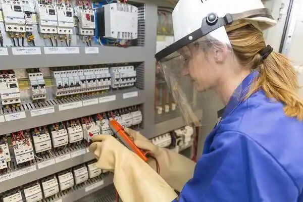 electrician Lely